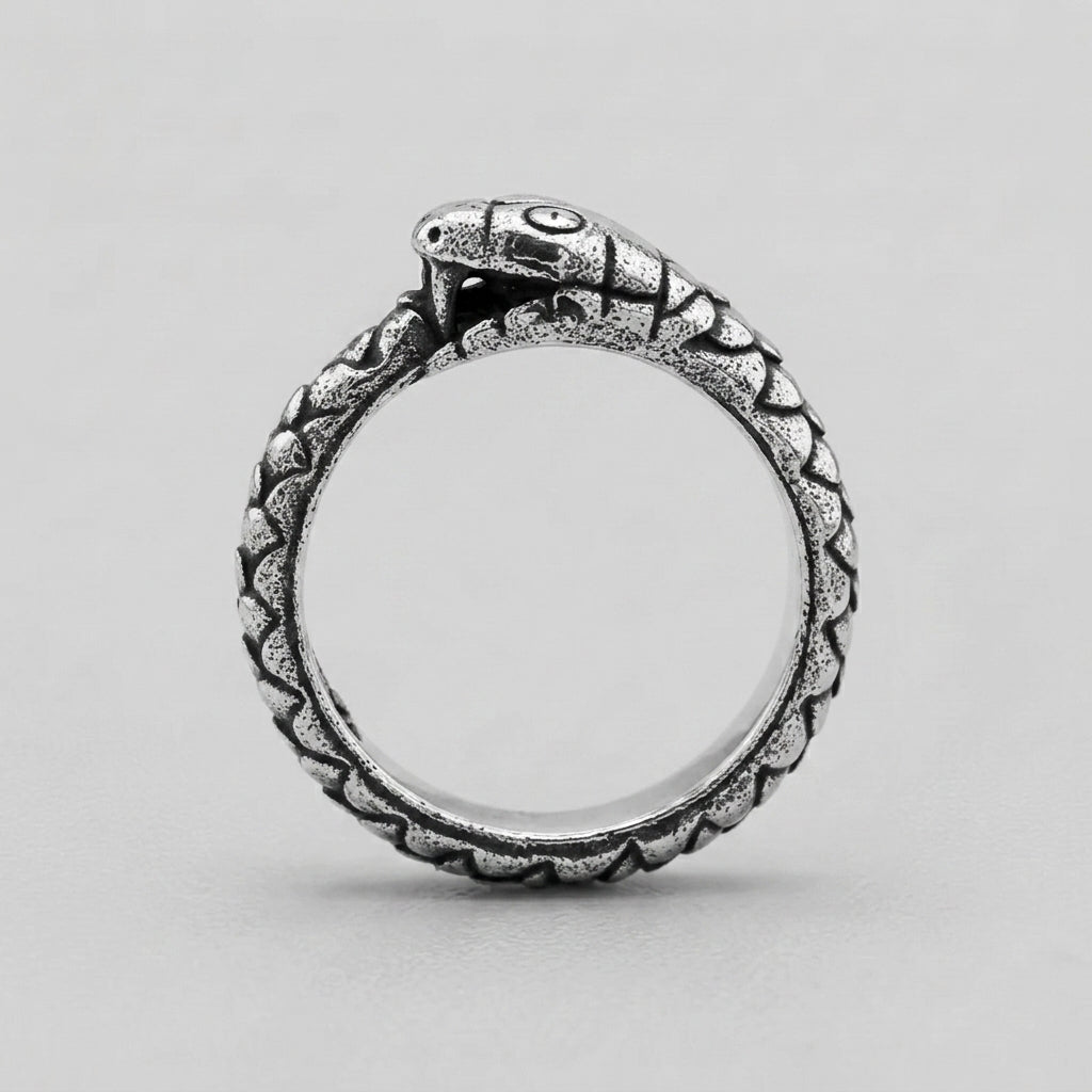 Ouroboros-Schlangenring