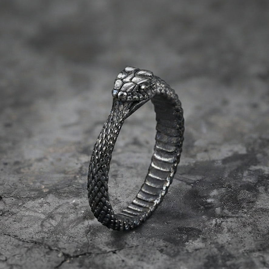 Ouroboros-Gewickelte-Schlange-Ring