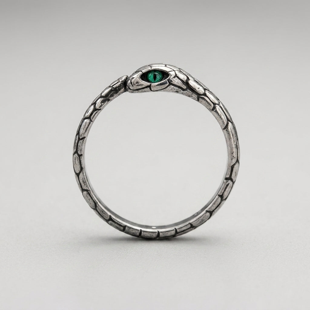 Ouroboros-Schlangenring