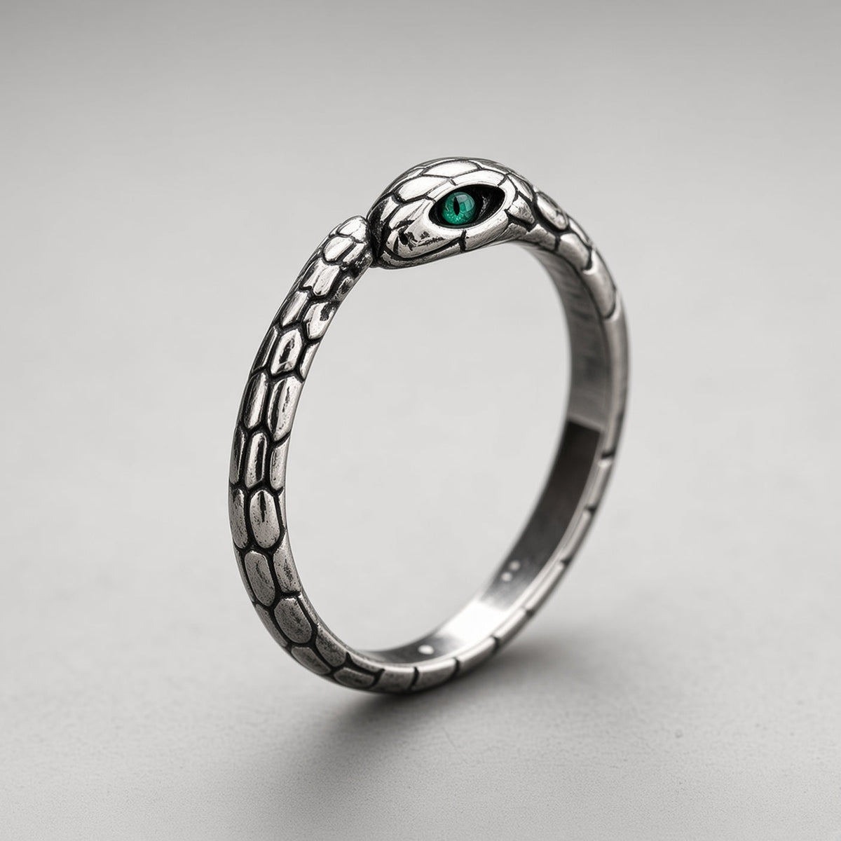 Ouroboros-Schlangenring